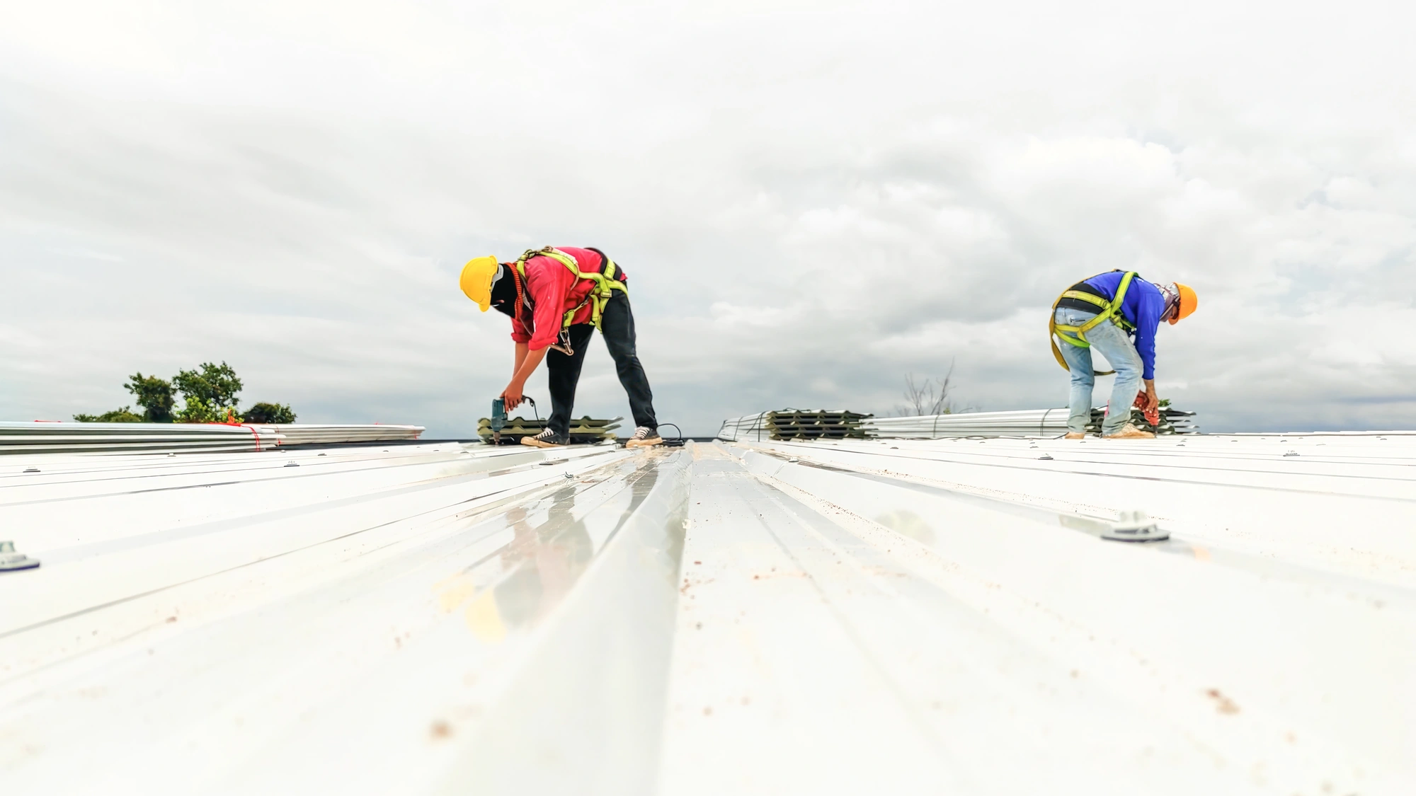 Roofers installing a commercial roofing system