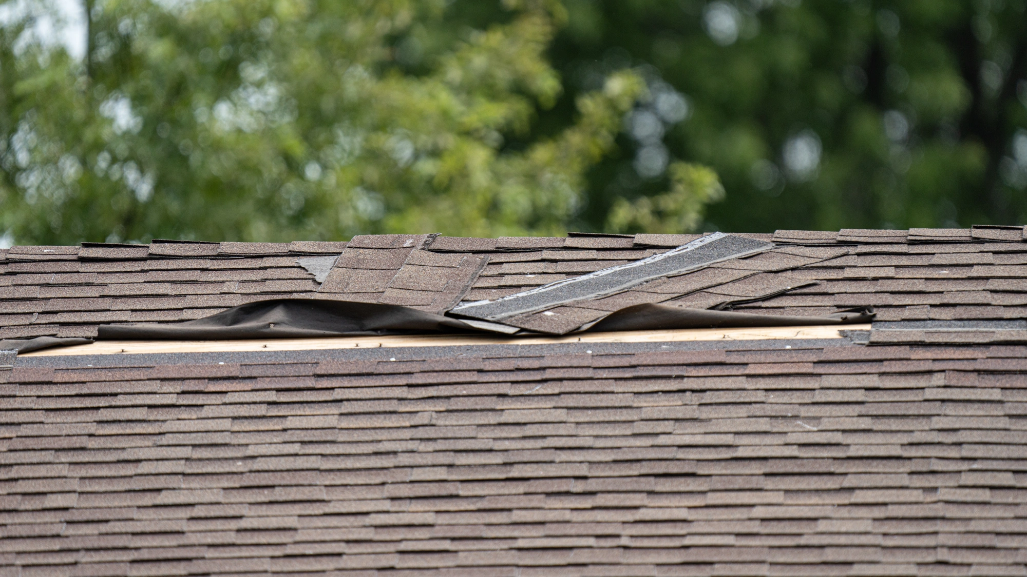 A damaged brown shingle roof needing repair