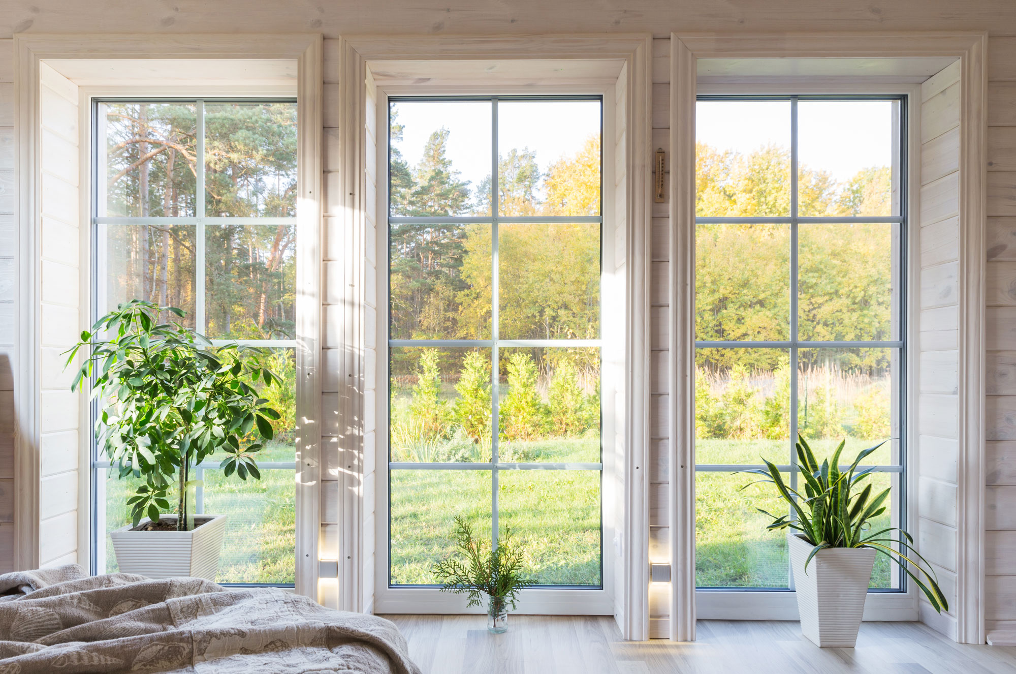 Large windows overlooking outside yard