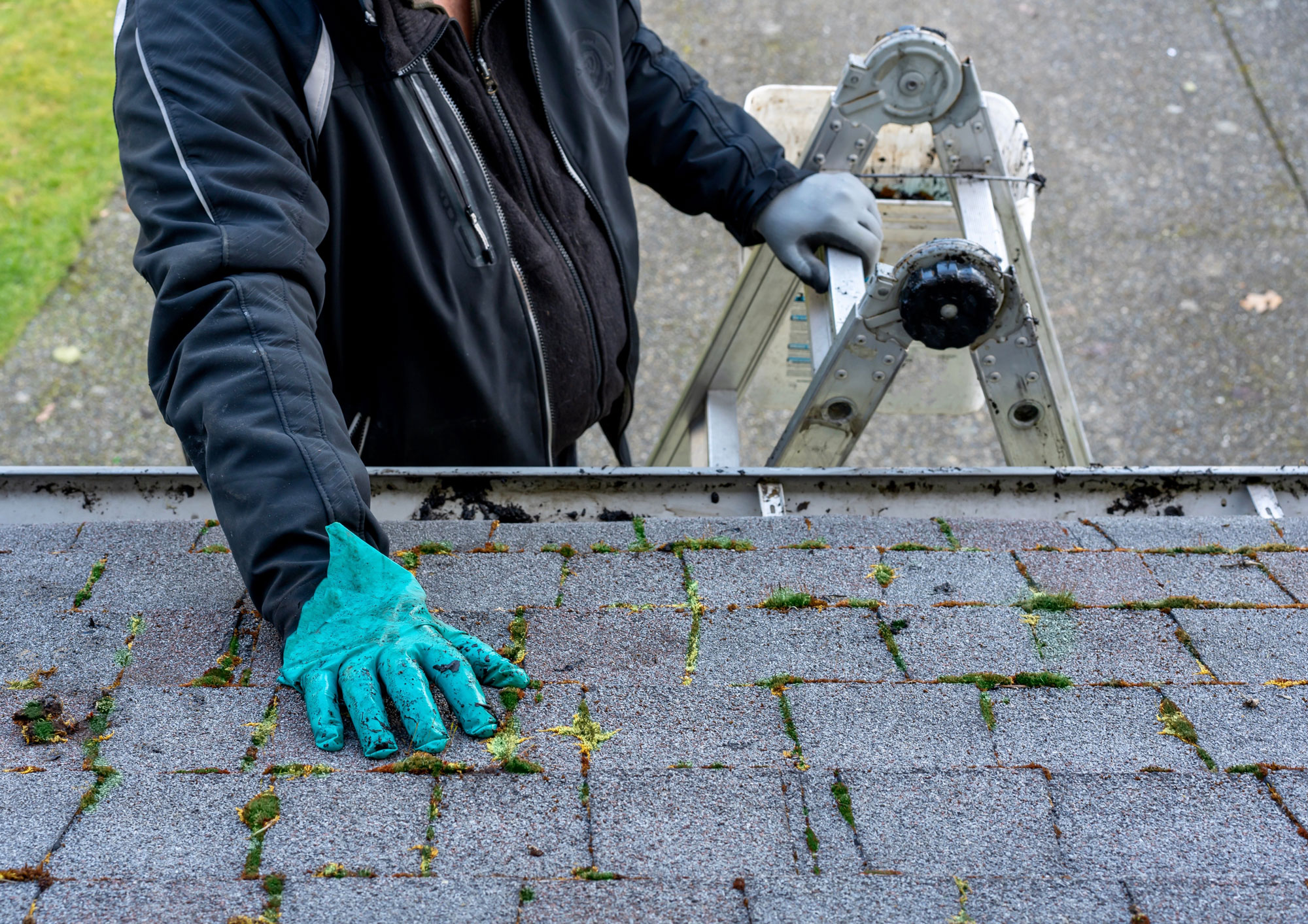 Roof inspector examining shingle roof with moss