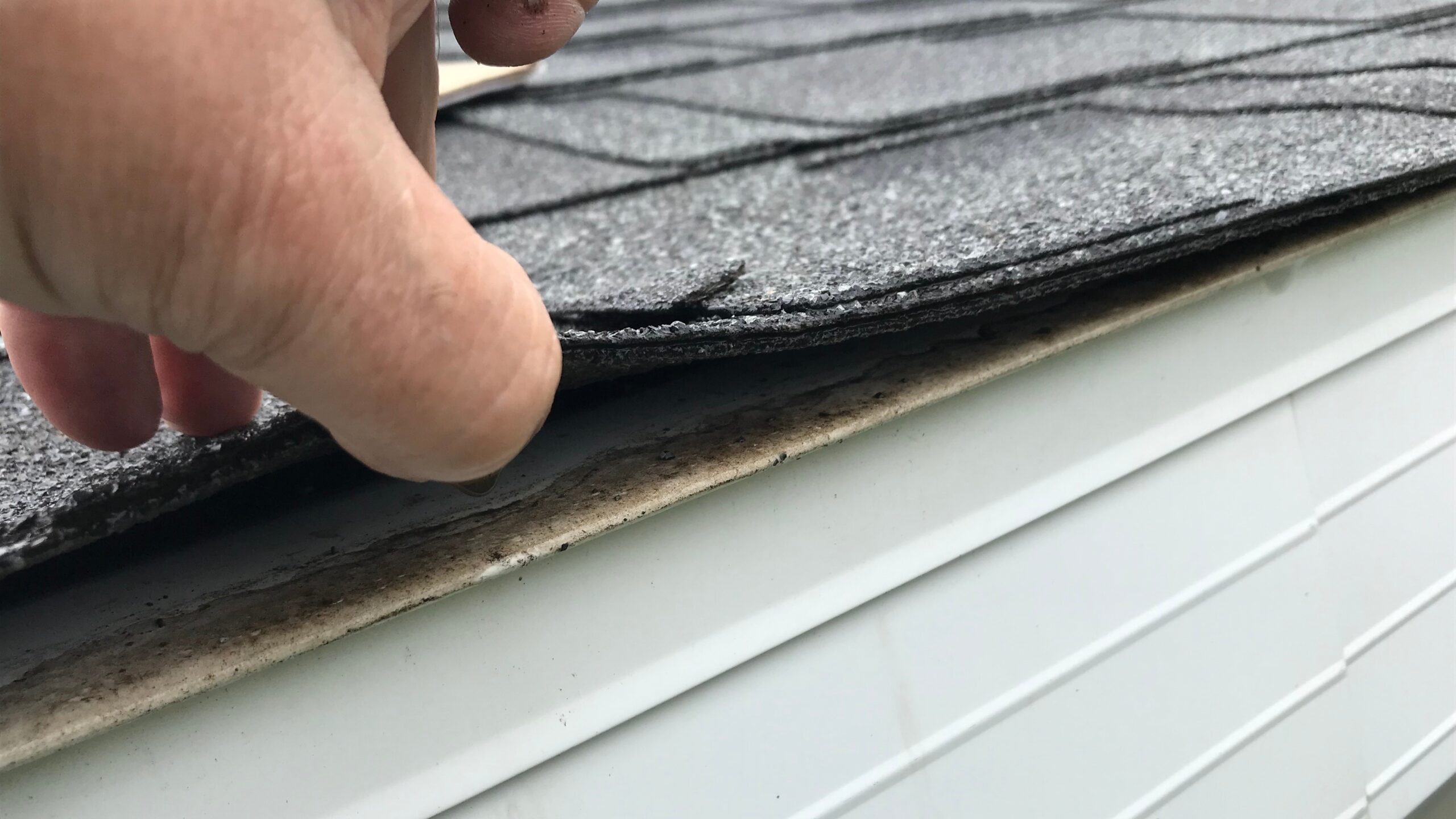 Closeup of a hand lifting the shingles on the edge of the roofline during an inspection