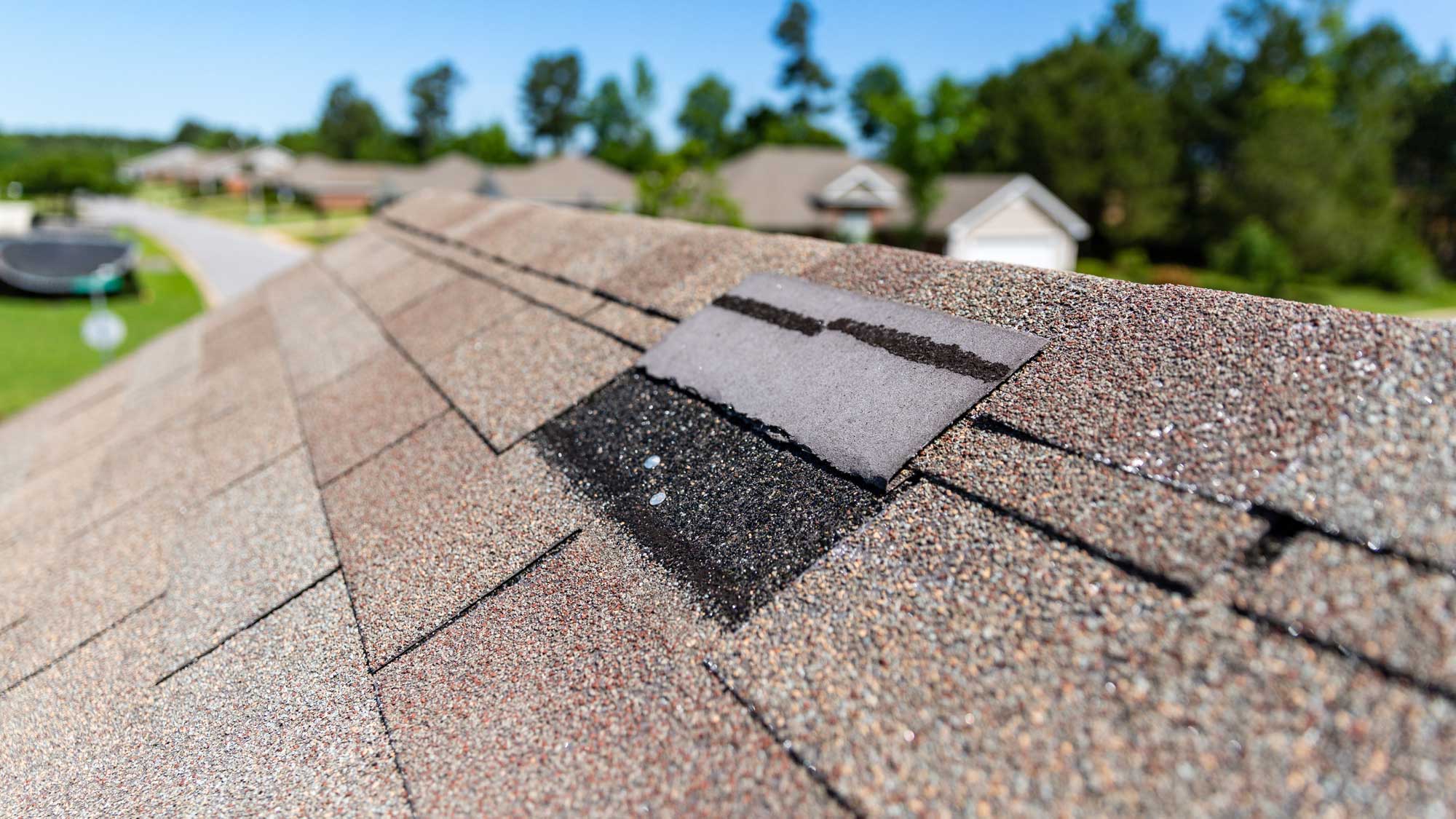 Closeup of a shingle roof with a damaged, loose shingle