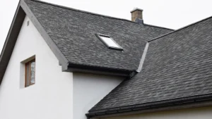 Exterior view of home with asphalt shingle roof with skylight and white exterior siding